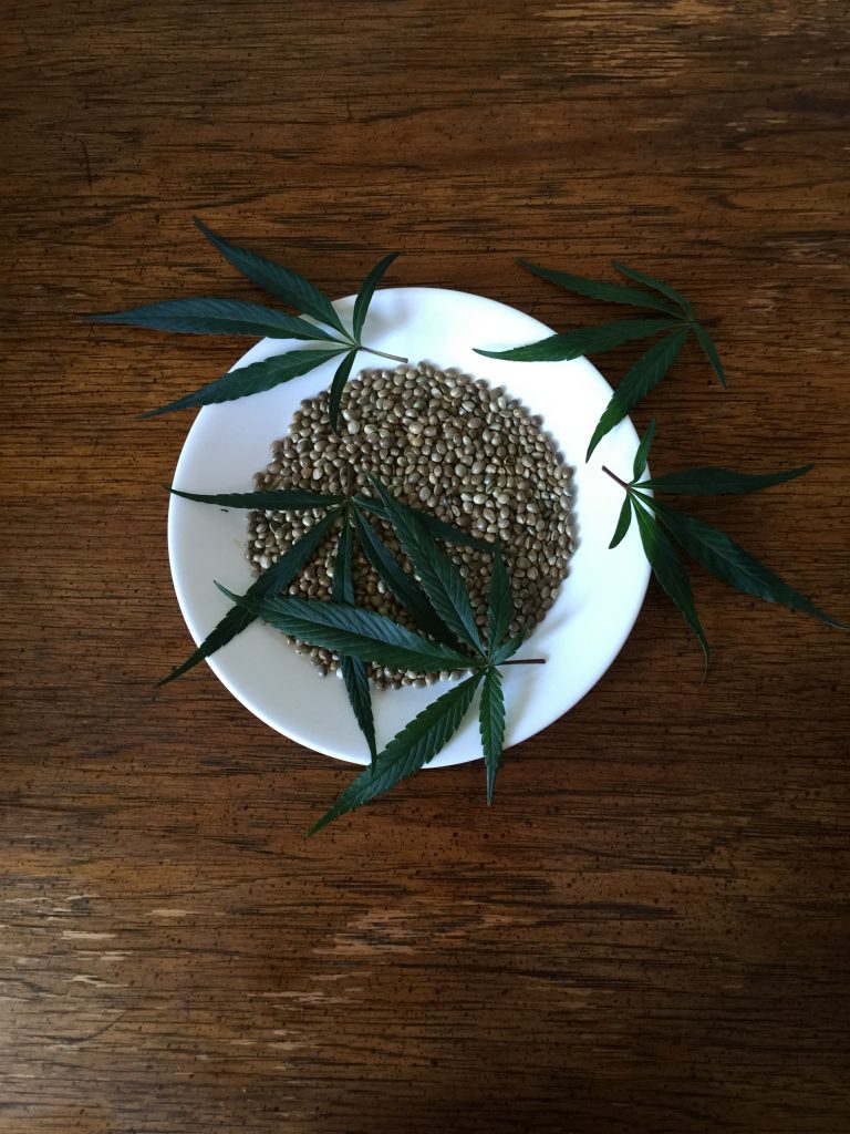 semillas-marihuana-2
