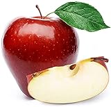 100 piezas de semillas de manzana Variedades de frutas dulces y espesas populares entre los niños La mejor opción para plantar en el huerto casero Adecuado para jardineros novatos