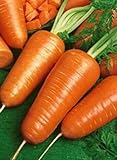 1 ounces of carrot seeds, Chantay Red Cored, Erbstück Bulk Carrot Sams, approx. 15.50