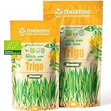 ZenGreens® - Semillas de trigo eco ecológico - Elija entre 10g, 200g y 500g - brotes de trigo eco - germinación de más del 97% - Microgreens