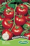 Germisem Moneymacker Semillas de Tomate 1.5 g (EC8021)