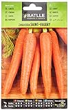 Zanahoria SAINT VALERY