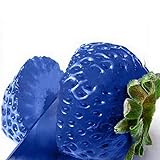 Benoon Semillas De Fresa, 1 Bolsa Semillas De Fresa Semillas De Frutas Naturales De Colores Mixtos Prolíficos Para Patio Azul Semillas de fresa