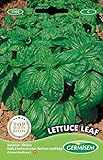 Germisem Lettuce Leaf Semillas de Albahaca 3 g