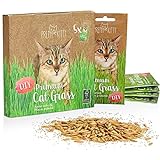 Semillas de hierba para gatos: 5 bolsas de 25 g de semillas para 50 macetas de hierba para gatos – Una verde pradera para gatos– Una golosina natural para gatos – Semillas de hierba PRETTY KITTY