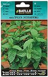 Semillas Batlle - Menta Spicata (Hierbabuena), Color Verde