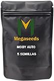 Megaseeds Bolsa de 5 semillas MDA para interior y exterior
