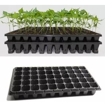 Bandejas de germinación de semillas de 6 piezas Bandejas de germinació 